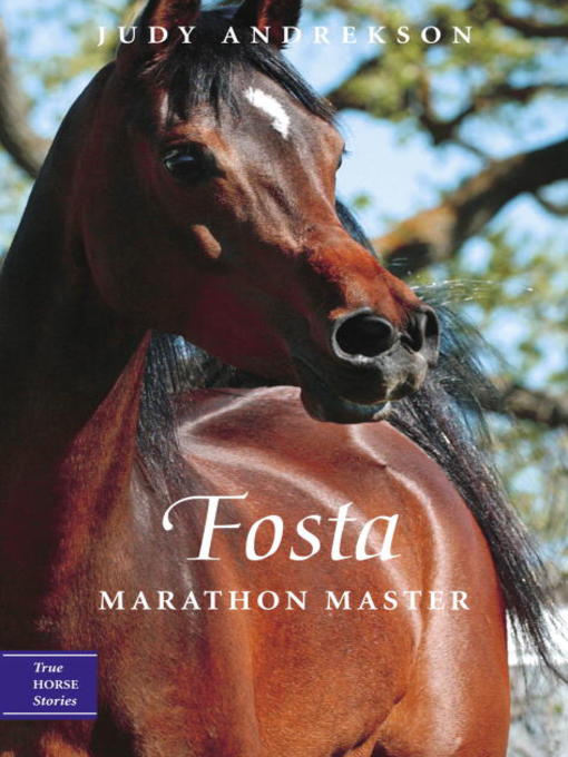 Title details for Fosta by Judy Andrekson - Available